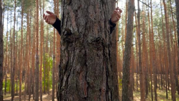 4k video de mujeres ambientalistas abrazando y abrazando el abeto alto en el bosque — Vídeo de stock