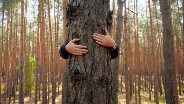 4k primer plano de vídeo de la mujer joven protegiendo la naturaleza de pie detrás del árbol en el bosque y abrazándolo — Vídeos de Stock