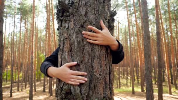 Vidéo 4k de jeune femme embrassant et apaisant grand arbre dans la forêt. Concept de personnes aimant et protégeant la nature — Video