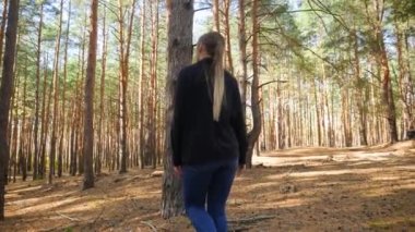 4k video of young smiling woman walking in forest and touch big fir tree. Concept of people loving and protecting nature