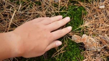 Closeup 4k video of woman gently touching and moving her hand over fallen leaves and green moss growing on ground at forest