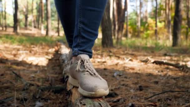 Closeup video of young woman in snekers walking and balancing on fallen tree in the forest or park — Stock Video