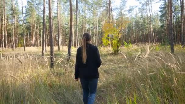 4k video de una joven senderismo en el bosque y hacer fotografías de la vida silvestre en la cámara profesional — Vídeos de Stock