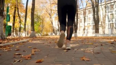 Closeup 4k video of female feet in sneakers while running on path at autumn park