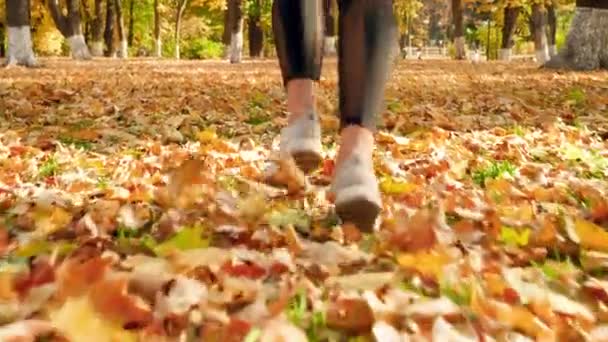 4k closeup video of female feet in sneakers running on yellow and red fallen leaves at autumn park — Stockvideo