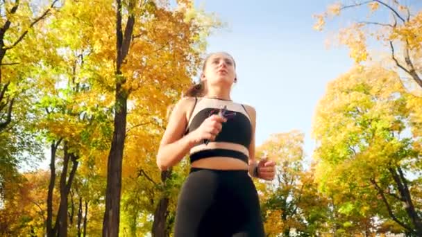 Vidéo 4k de point de vue bas sur jeune belle femme en cours d'exécution au parc d'automne par une journée ensoleillée — Video