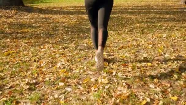 Closeup 4k video of camera slowly moving from feet to head of beautiful sporty woman jogging at autumn park — Stok video