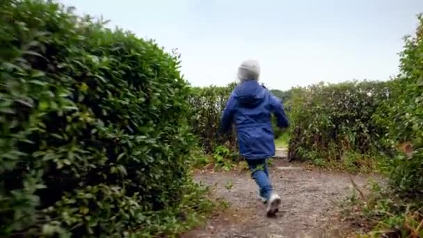 4k vídeo de menino fugindo da câmera no labirinto feito de belos arbustos no parque — Vídeo de Stock