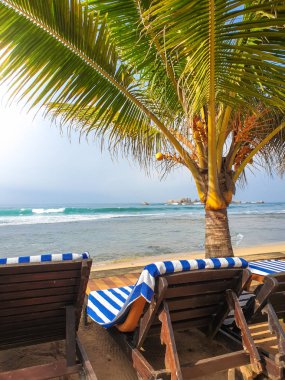 Okyanus sahilindeki palmiyelerin altındaki tahta güneşliklerin güzel bir görüntüsü.