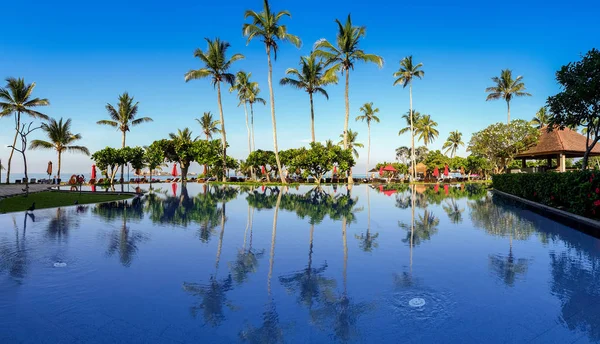 Panoramisch beeld van palmen en blauwe lucht reflecterend in het overloopzwembad op tropisch eiland — Stockfoto