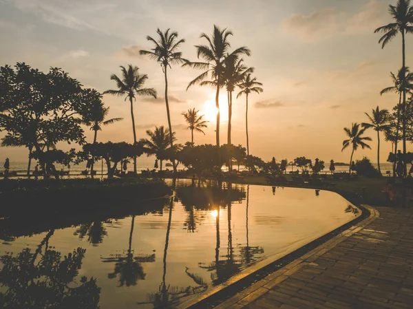Prachtige silhouetten van palmbomen reflecterend in het water van het zwembad bij zonsondergang — Stockfoto