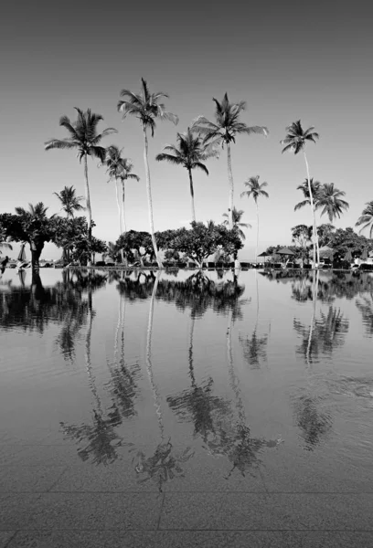 Zwart-wit beeld van infinity zwembad op het tropische eiland — Stockfoto
