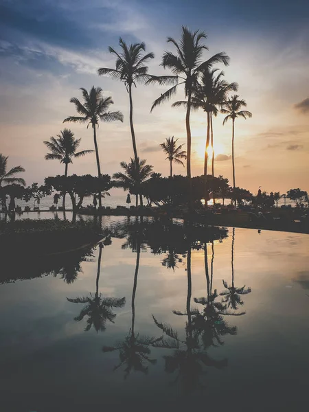 Getinte foto van palmsilhouetten reflecterend in oneindig zwembad wateroppervlak — Stockfoto