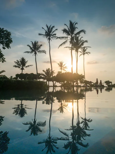 Prachtige afbeelding van palmboom silhouetten op het oppervlak van infinity zwembad — Stockfoto