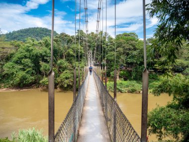 Genç bir adamın tropikal yağmur ormanlarında nehrin üzerindeki eski asma köprüde yürüdüğünü hayal et.