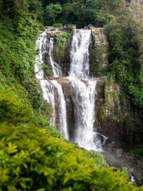 Tropikal orman ormanlarındaki şelalenin manzarası inanılmaz.