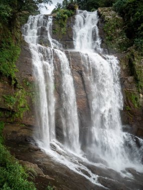 Ormandaki yüksek güçlü şelaleye bakıyorum.