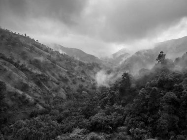 Tropikal orman ormanlarındaki dağ vadisindeki yoğun sisin siyah beyaz görüntüsü