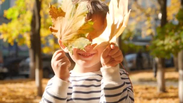 Vidéo 4k de garçon sourire heureux tout-petit tenant deux feuilles jaunes au visage et regardant à la caméra au parc — Video