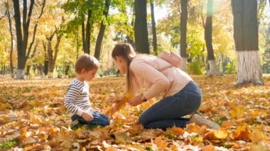 4k video of little boy with mother collecting and picking golden autumn leaves at park