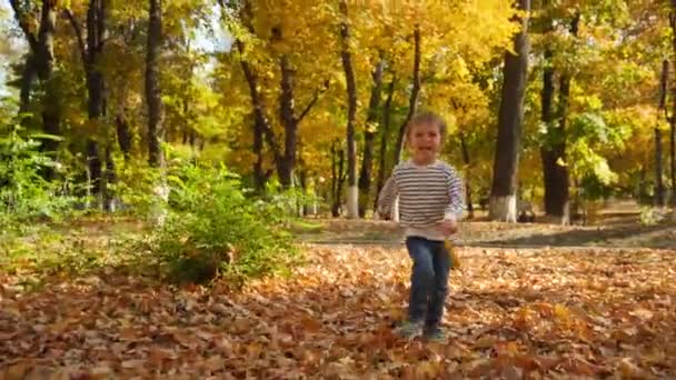 Vidéo 4k de joyeux sourire 4 ans garçon en cours d'exécution dans le parc d'automne 