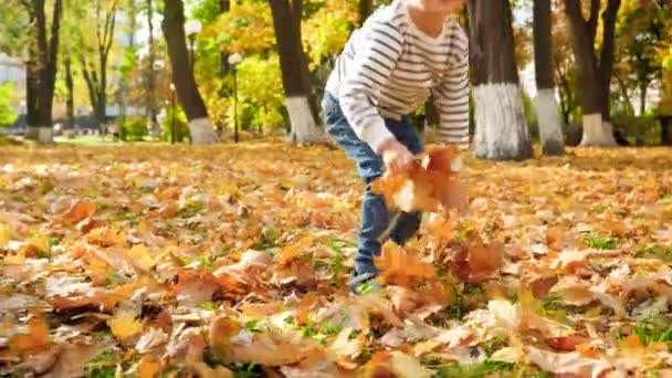 Vidéo 4k de petit garçon souriant ramassant des feuilles jaunes dans le parc d'automne et les jetant à la caméra 