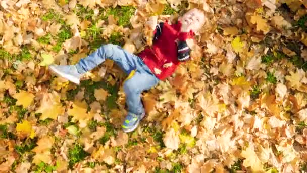4k video of happy laughing little boy having fun and rolling on yeallow leaves on grass at autumn park — Stockvideo