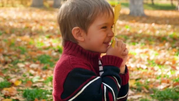 4k видео восхитительного счастливого маленького мальчика, улыбающегося и смотрящего сквозь желтый осенний лист дерева в камеру — стоковое видео