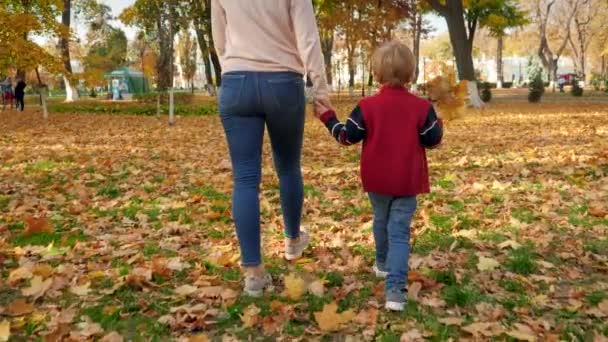 4k vídeo de criança menino com folhas amarelas na mão andando com a jovem mãe no parque de outono — Vídeo de Stock
