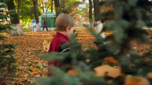 4k video del niño pequeño sosteniendo hojas amarillas caminando entre árboles en el parque de otoño — Vídeo de stock