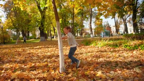 Медленное видео веселого мальчика, веселящегося в осеннем парке и бегающего вокруг дерева с желтыми листьями — стоковое видео