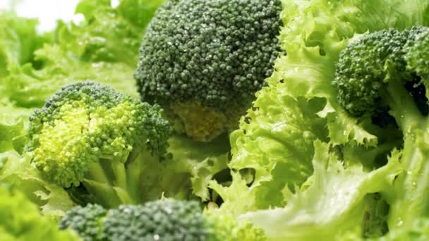 Macro dolly video of fresh green lettuce leaves, broccoli and cabbage. Concept of healthy nutrition and organic food. Perfect background for vegetarian or vegan — Stockvideo