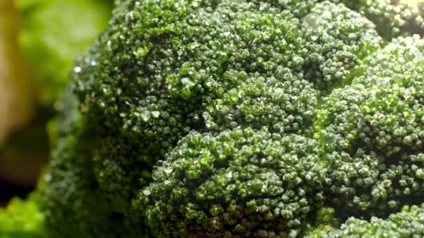 Closeup 4k video of rain water droplets falling and flowing down of fresh broccoli. Concept of healthy nutrition and organic food. Perfect background for vegetarian or vegan — Stock video