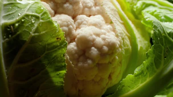 4k closeup video of water drops falling on fresh cauliflower. Concept of healthy nutrition and organic food. Perfect background for vegetarian or vegan — Stockvideo