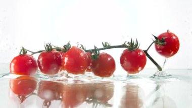Closeup slow motion video of fresh cheery omato branch falling in water and splashing. Concept of healthy nutrition and organic food. Perfect background for vegetarian or vegan