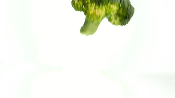 Closeup slow motion video of broccoli piece falling on wet reflective surface over white background. Concept of healthy nutrition and organic food. Perfect background for vegetarian or vegan. Cooking — Stockvideo