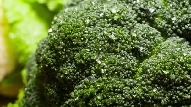 Closeup slow motion video of rain water drops flowing from fresh green broccoli in garden. Concept of healthy nutrition and organic food. Perfect background for vegetarian or vegan. Cooking and — Stock video