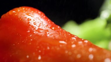 Closeup video of water droplets slowly falling on red paprika over black background. Concept of healthy nutrition and organic food. Perfect background for vegetarian or vegan.