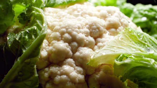 Closeup slow motion video of fresh cauliflower in garden under water droplets flowing from garden hose. Concept of healthy nutrition and organic food. Perfect background for vegetarian or vegan — Αρχείο Βίντεο