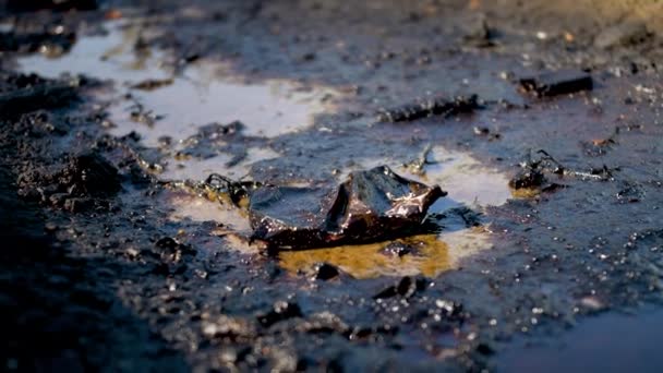 4k dolly video of garbage, waste and black oil covering ground. Concept of ecology disaster and industrial pollution that damages nature — Stockvideo