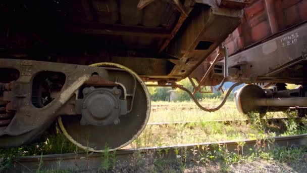 4k dolly video of old rusty cargo train car on abandoned railroad. Concepto de transporte y carga utilizando ferrocarriles — Vídeo de stock