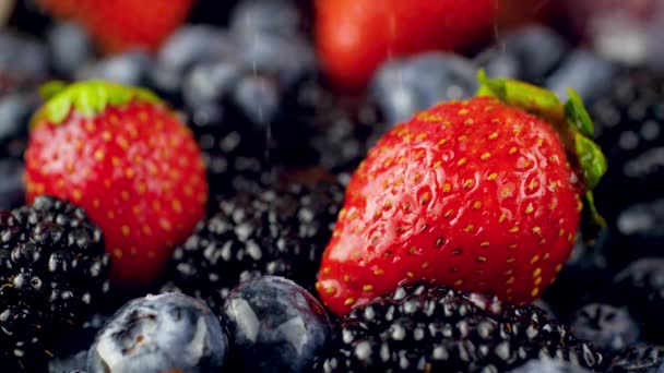 4k video of water droplets from sprinkler falling on fresh strawberry, blackberry and blueberry. Perfect abstract background for organic food and healthy nutrition. — Stock Video