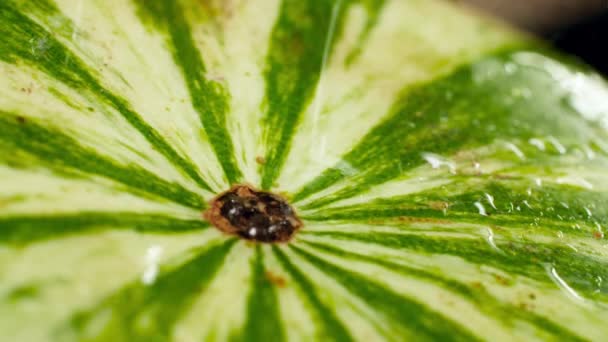 Primer plano 4k video de gotas de agua cayendo sobre la sandía verde madura. Perfecto tiro abstracto para alimentos orgánicos y una nutrición saludable. Primer plano de los frutos — Vídeos de Stock