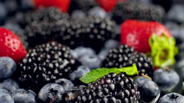 浓郁的薄荷叶落在新鲜浆果上的慢镜头。完美的有机食品和健康营养的抽象镜头。草莓、黑莓和蓝莓的包装 — 图库视频影像