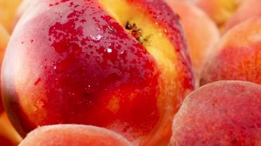 Bir sürü taze şeftali ve nektarin içeren 4k Doli video. Organik gıda ve sağlıklı beslenme için mükemmel bir soyut zemin. Meyvelerin yakınlaştırılması