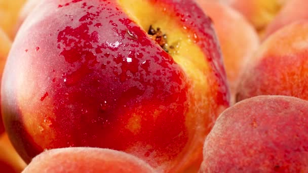 Close up 4k dolly video of lots of fresh ripe peaches and nectarins. Идеальный абстрактный фон для органических продуктов питания и здорового питания. Крупный план фруктов — стоковое видео