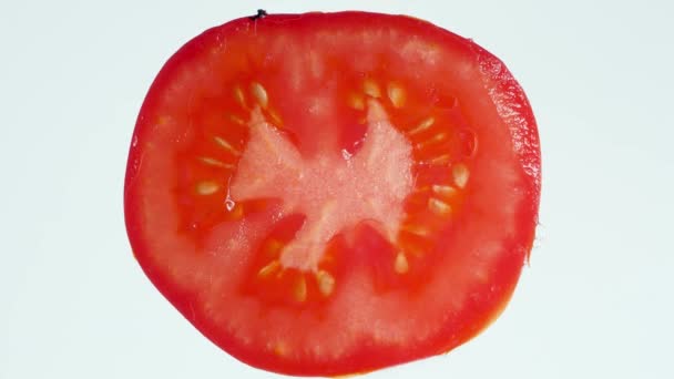 Vídeo macro de 4k de rodajas de tomate aplastadas sobre fondo blanco. Pulpa y jugo chorreando y fluyendo. Fondo abstracto perfecto para alimentos orgánicos y una nutrición saludable. Primer plano de la explosión — Vídeo de stock