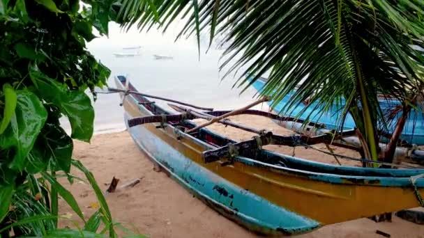 季節の雨嵐の間、ヤシの木の下の砂浜にある伝統的な漁船の4kビデオ — ストック動画