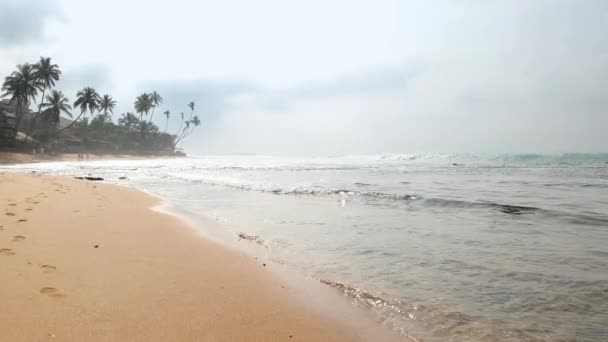 4k video of calm ocean ewaves and palm trees growing on sandy beach at ocean shore on tropical island — Stock Video