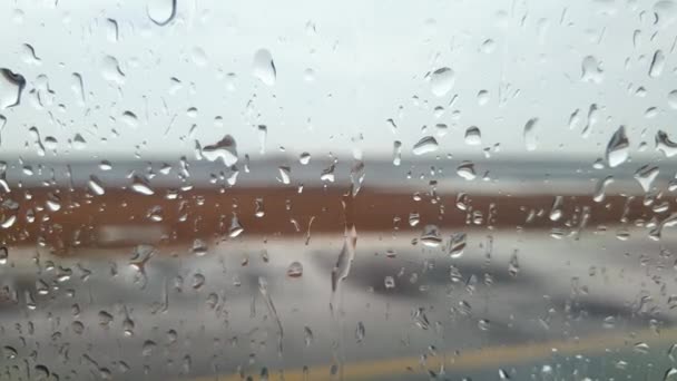 4k video of airplane landing and driving on runway during heavy rain storm — Stockvideo